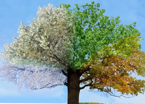 Selling A Property Privately: The Perfect Season for Your Sale