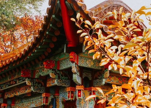 Skyward Solutions: Chinese Skywells for Cool Comfort
