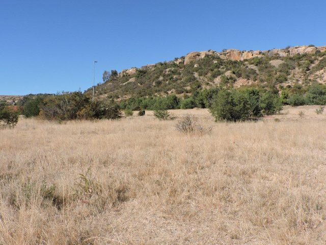 Vacant Land / Plot for Sale in Ladybrand
