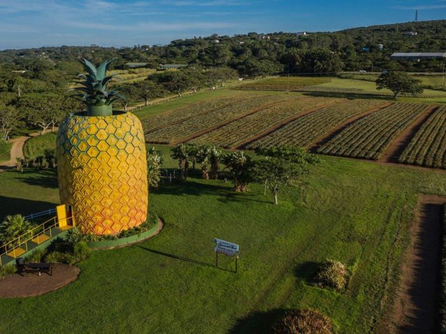 Vacant Land / Plot for Sale in Bathurst