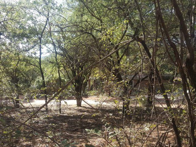 Vacant Land / Plot for Sale in Leeupoort Thabazimbi, Leeupoo