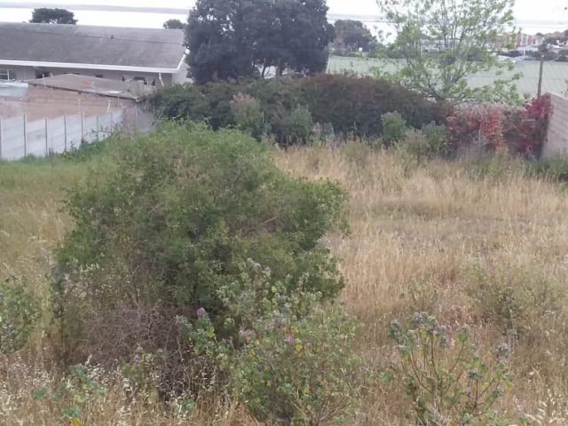 487m² Vacant Land For Sale in Saldanha Central
