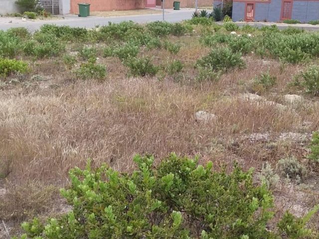173m² Vacant Land For Sale in Bluewater Bay