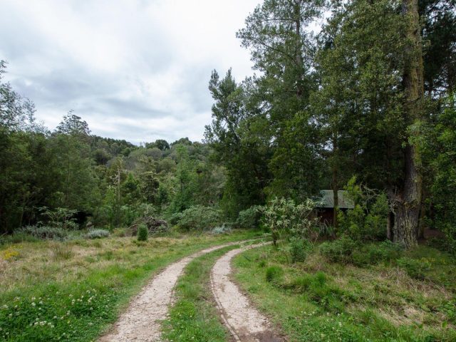 FARM FOR SALE IN HARKERVILLE AH