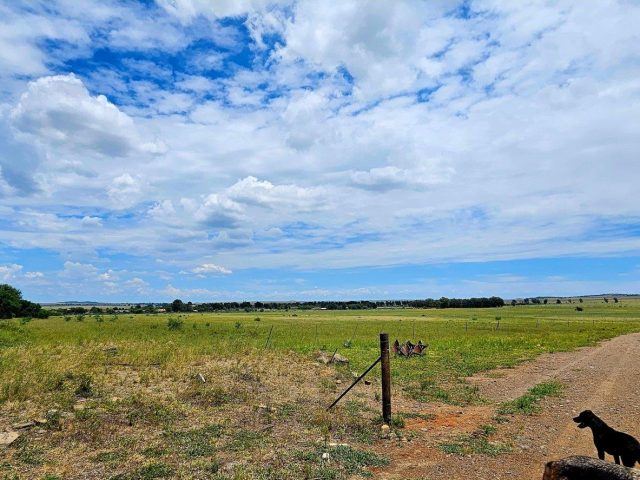 Farm for Sale in Bloemfontein Rural