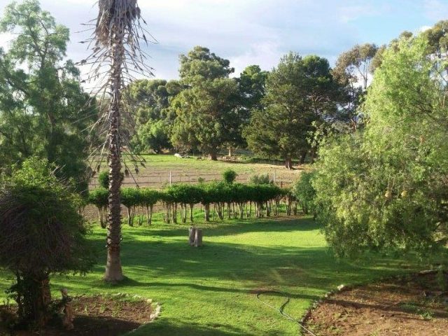 FARM FOR SALE IN WILLOWMORE RURAL
