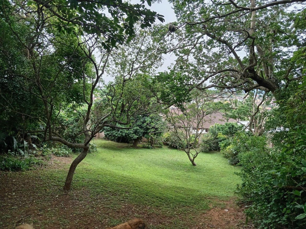 Property interior