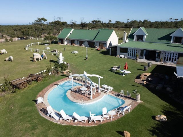 Farm for Sale in Roodefontein AH