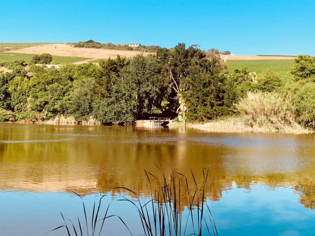 Farm For Sale in Stellenbosch