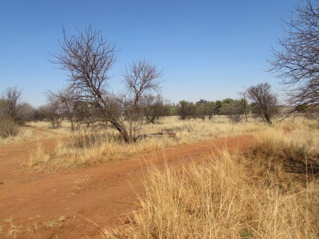 5 Bed Farm/smallholding for Sale Agricultural Holding 475 Cullinan