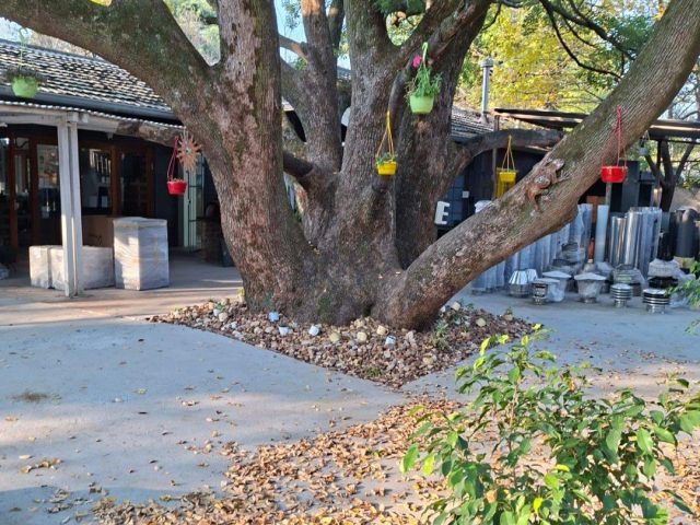 Commercial Property to Rent in Clubview