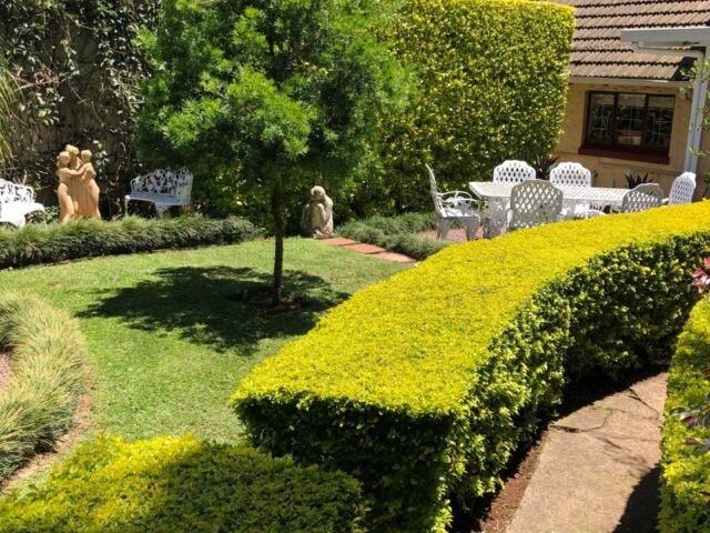 1 Bedroom Apartment / Flat to Rent in Kloof